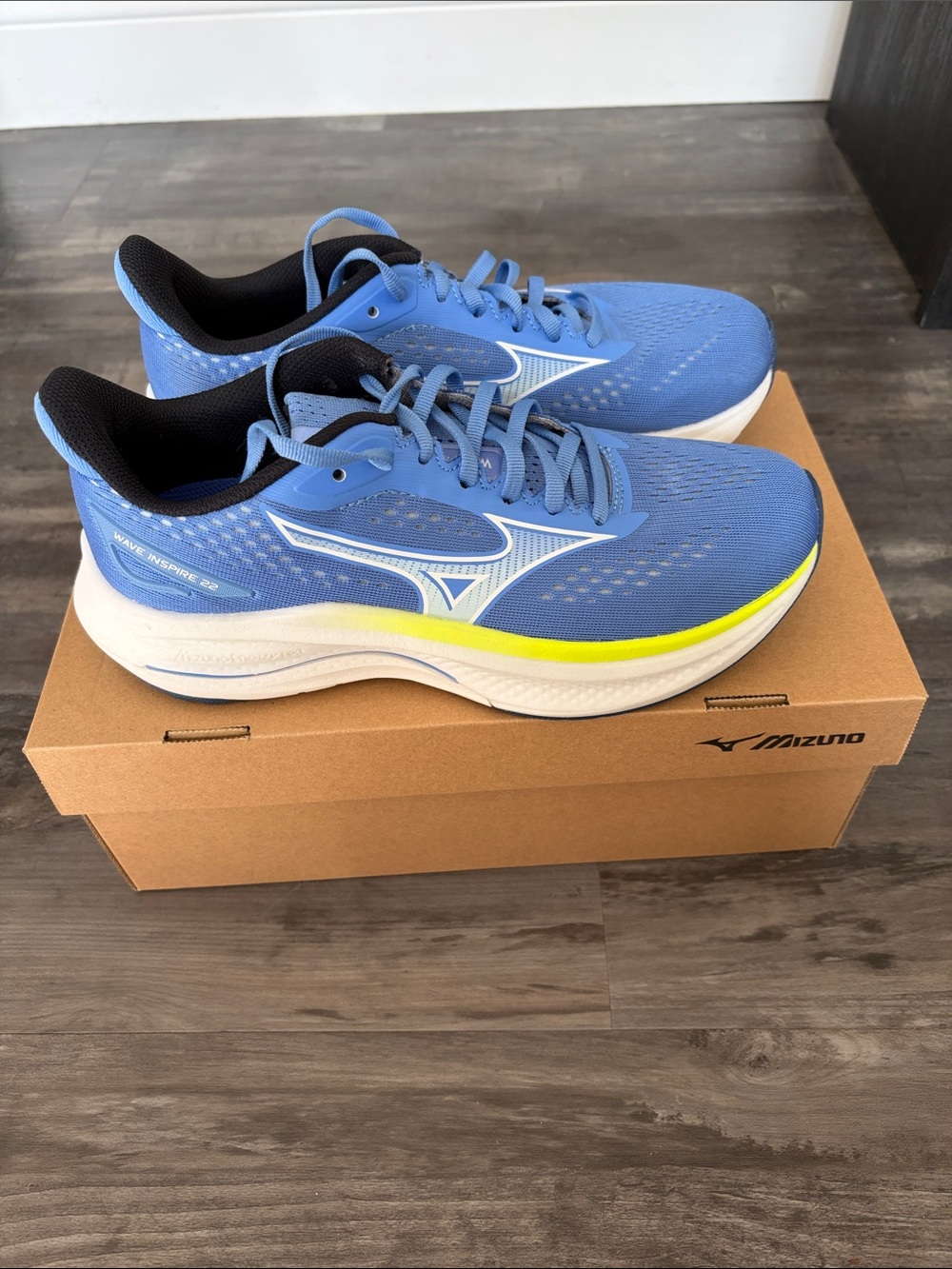 Mizuno Wave Inspire 22D